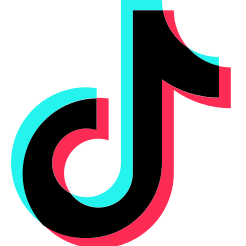 TikTok Logo